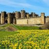 Alnwick Castle Paint By Numbers