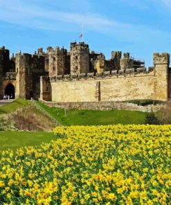 Alnwick Castle Paint By Numbers