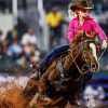 Barrel Racer Paint By Numbers