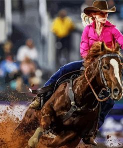 Barrel Racer Paint By Numbers