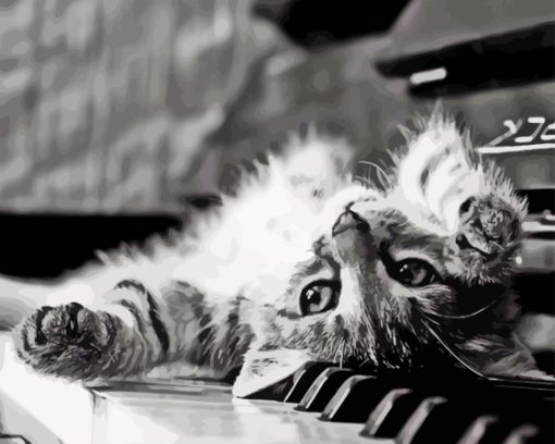 Black And White Cat On Piano Paint By Numbers