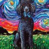 Black Poodles Starry Night Paint By Numbers