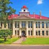 Blanco Texas County Courthouse Paint By Numbers