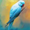 Blue Red Neck Parrot Paint By Numbers