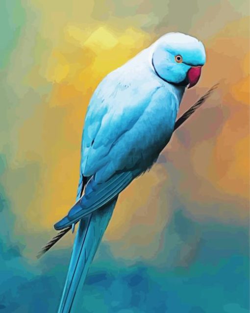 Blue Red Neck Parrot Paint By Numbers