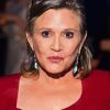 Carrie Fisher Paint By Numbers