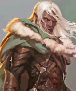 Drizzt Dourden Dungeons And Dragons Paint By Numbers