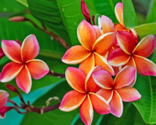 Orange Frangipani Flowers Paint By Numbers