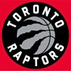 Raptors Logo Paint By Numbers