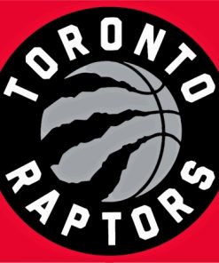 Raptors Logo Paint By Numbers