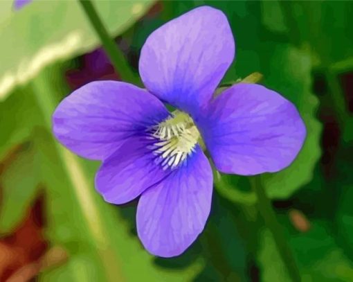 Common Blue Violet Plant Flower Paint By Numbers