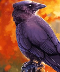 Common Raven Bird Paint By Numbers