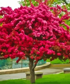 Crabapple Pink Flowering Tree Paint By Numbers