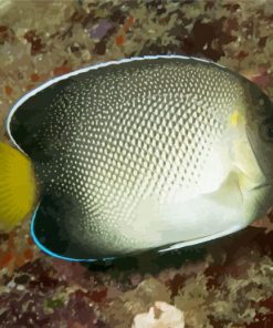 Cream Angelfish Paint By Numbers