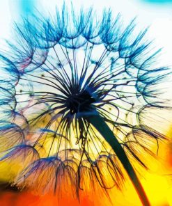 Dandelion Plant Sunset Paint By Numbers