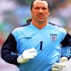 David Seaman Paint By Numbers