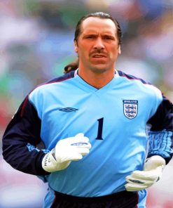 David Seaman Paint By Numbers