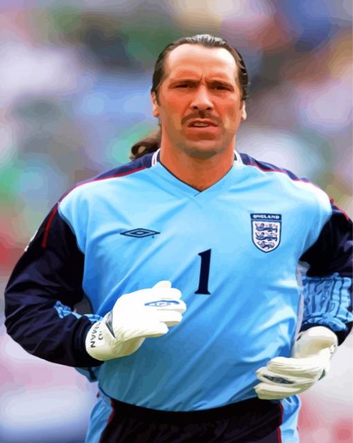 David Seaman Paint By Numbers