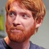 Domhnall Gleeson Paint By Numbers