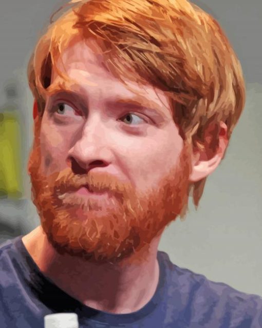 Domhnall Gleeson Paint By Numbers