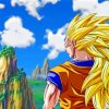 Dragon Ball Super Saiyan 3 Paint By Numbers