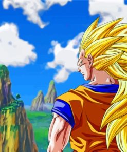 Dragon Ball Super Saiyan 3 Paint By Numbers