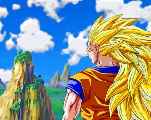 Dragon Ball Super Saiyan 3 Paint By Numbers