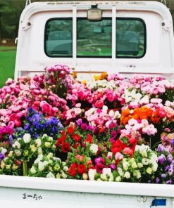 Flowers In Back Of White Truck Paint By Numbers