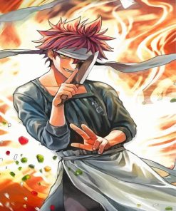 Food Wars Shokugeki No Soma Paint By Numbers