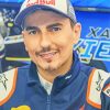 Jorge Lorenzo Paint By Numbers