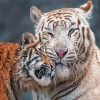 Mama Tiger And Baby Paint By Numbers