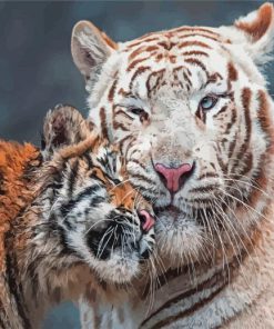 Mama Tiger And Baby Paint By Numbers