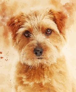 Norfolk Terrier Dog Art Paint By Numbers