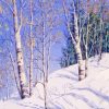 Snow White Birches Trees Paint By Numbers