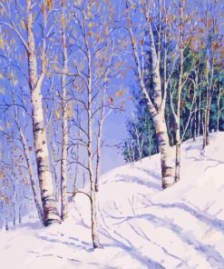 Snow White Birches Trees Paint By Numbers