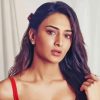 The Indian Erica Fernandes Paint By Numbers