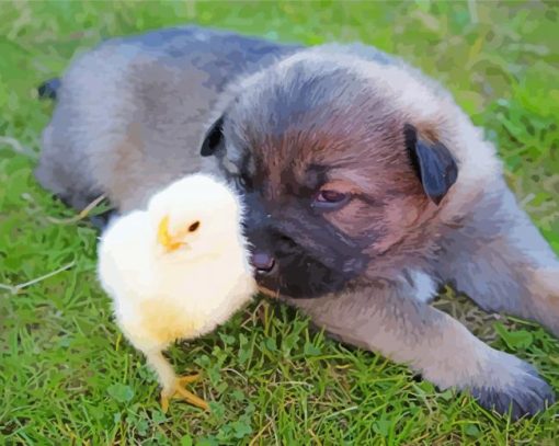 Chicken With Cute Puppy Paint By Numbers