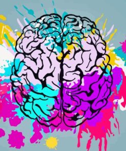 Colorful Brain Art Paint By Numbers