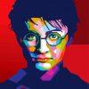 Colorful Harry Potter Face Pop Art Paint By Numbers