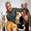 Dog Whisperer With Cesar Millan Paint By Numbers