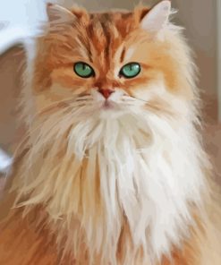 Fluffy Blonde Cat Paint By Numbers