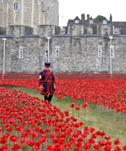 Poppies And Soldiers Paint By Numbers