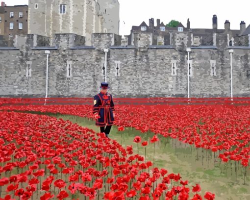 Poppies And Soldiers Paint By Numbers