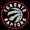 Raptors Basketball Team Logo Paint By Numbers