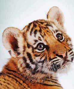 Sweet Baby Face Tiger Paint By Numbers