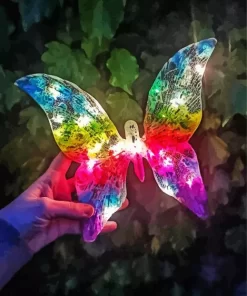 Butterfly Light Paint By Numbers