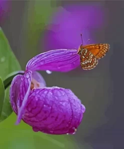 Butterfly On Lady Slipper Flower Paint By Numbers