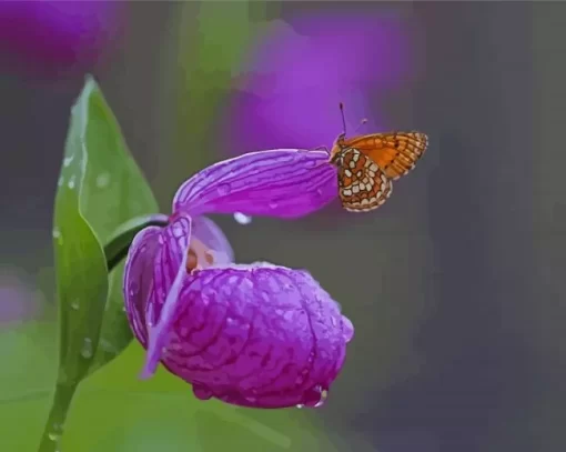 Butterfly On Lady Slipper Flower Paint By Numbers