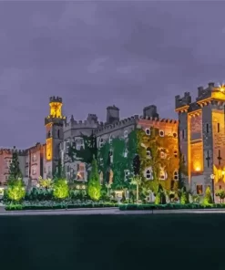 Cabra Castle Ireland At Night Paint By Numbers