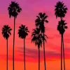 California Pink Sunset Paint By Numbers